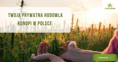 hodowla konopi w polsce