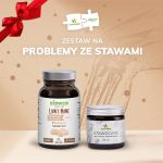 zestaw na problemy ze stawami
