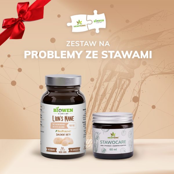 zestaw na problemy ze stawami