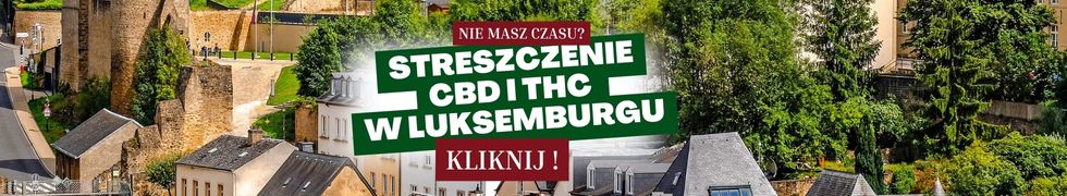 CBD i THC w Luksemburgu - streszczenie 
