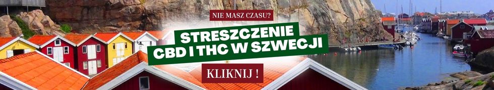 CBD i THC w Szwecji streszczenie