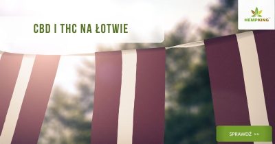 CBD i THC na Łotwie status prawa konopnego artykuł