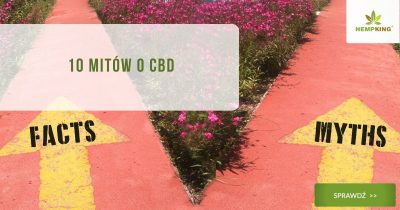 10 mitów o cbd