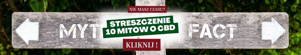 mity o cbd streszczenie