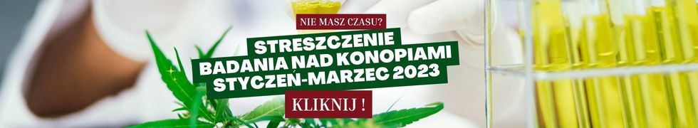 Badania nad konopiami Styczeń-Marzec 2023 streszczenie