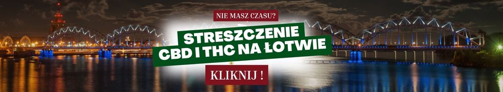 CBD i THC na łotwie - streszczenie 