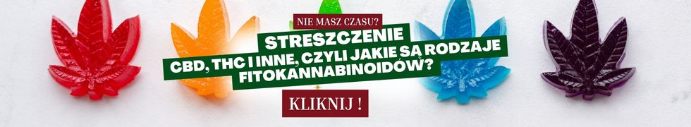 CBD, THC i inne, czyli jakie są rodzaje fitokannabinoidów