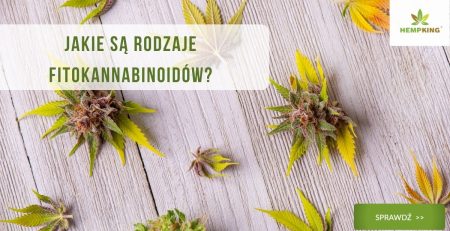 Jakie są rodzaje fitokannabinoidów