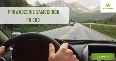 Prowadzenie samochodu po CBD