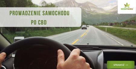 Prowadzenie samochodu po CBD