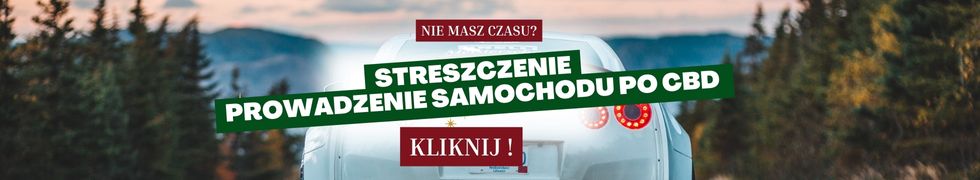auto po cbd - streszczenie