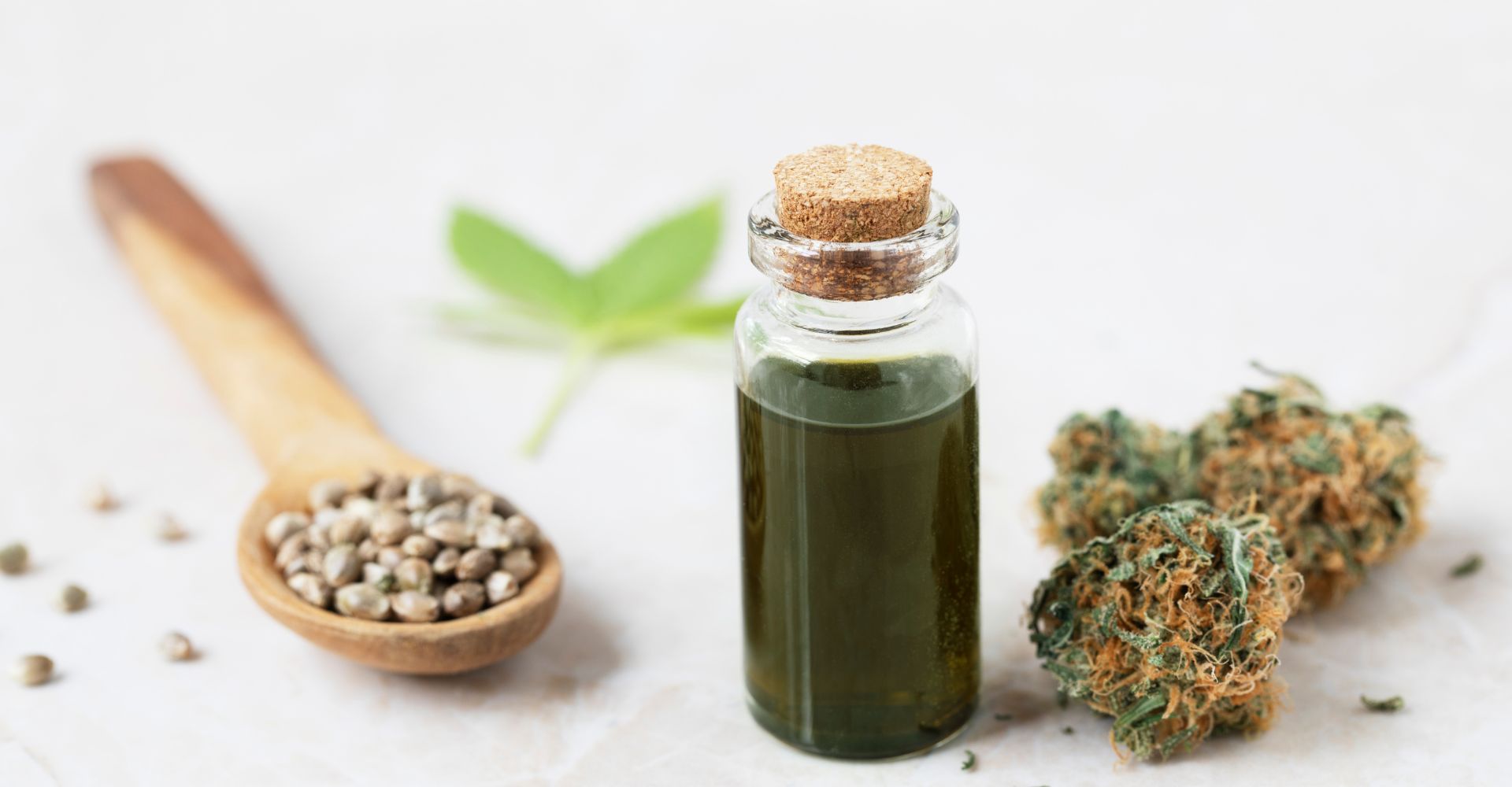 cbd prowadzenie samochodu